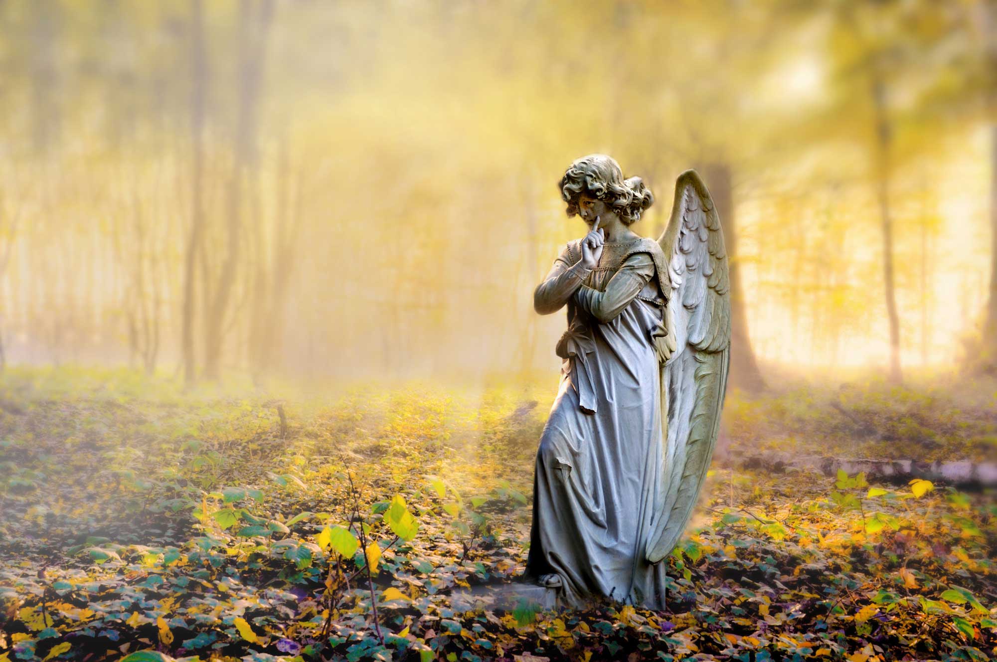 Engelsstatue in einem sonnendurchfluteten Herbstwald